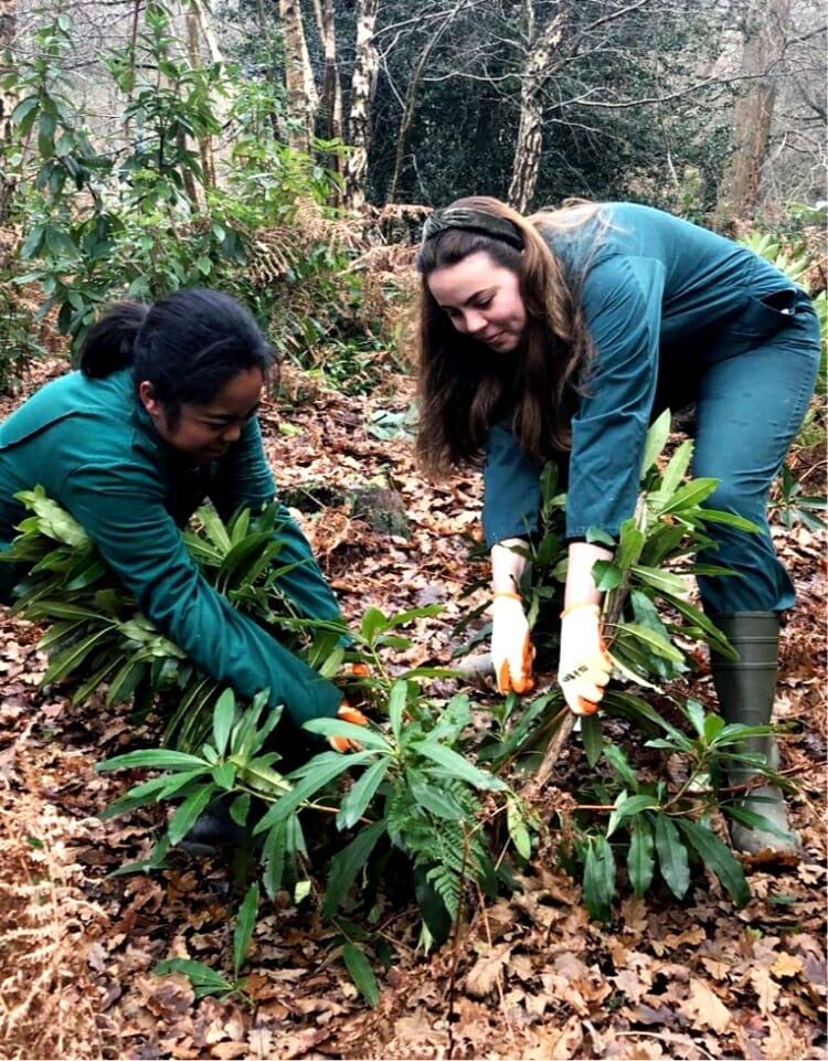 Day Volunteer Working In Garden