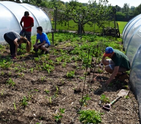 Working In The Garden