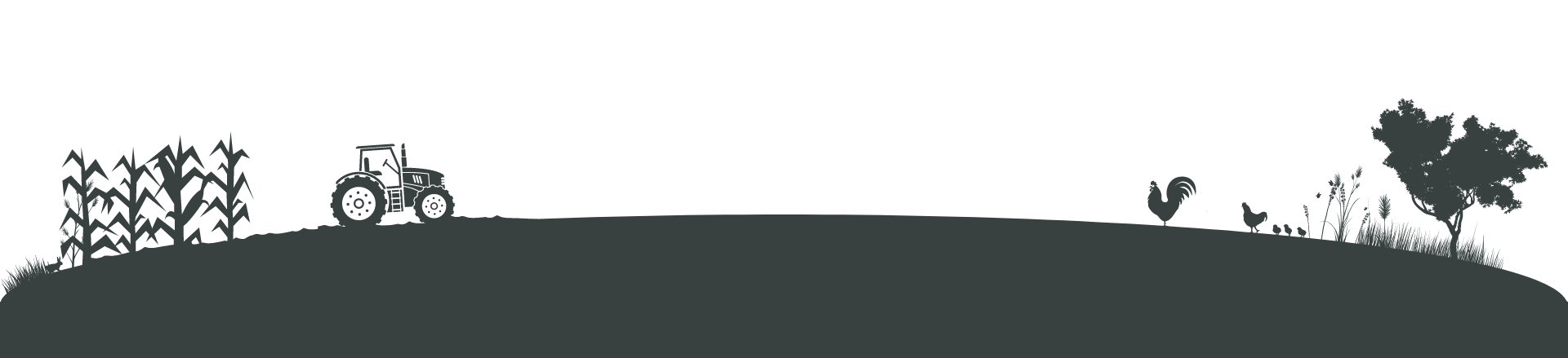 Ashburnham Kitchen Garden Footer