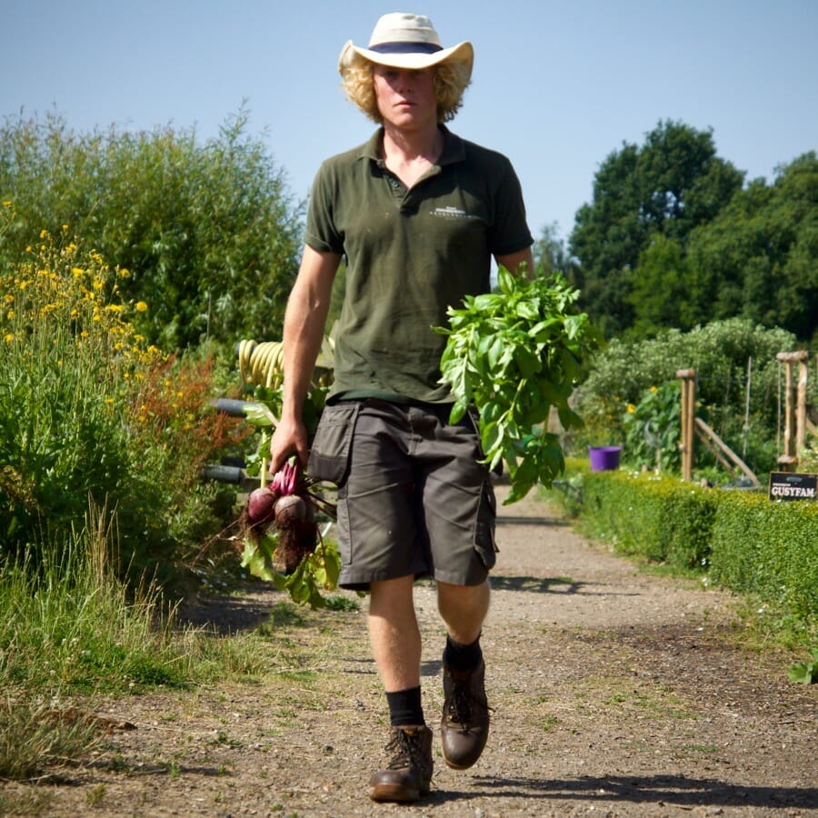 Walking In The Kitchen Garden With Beetroot