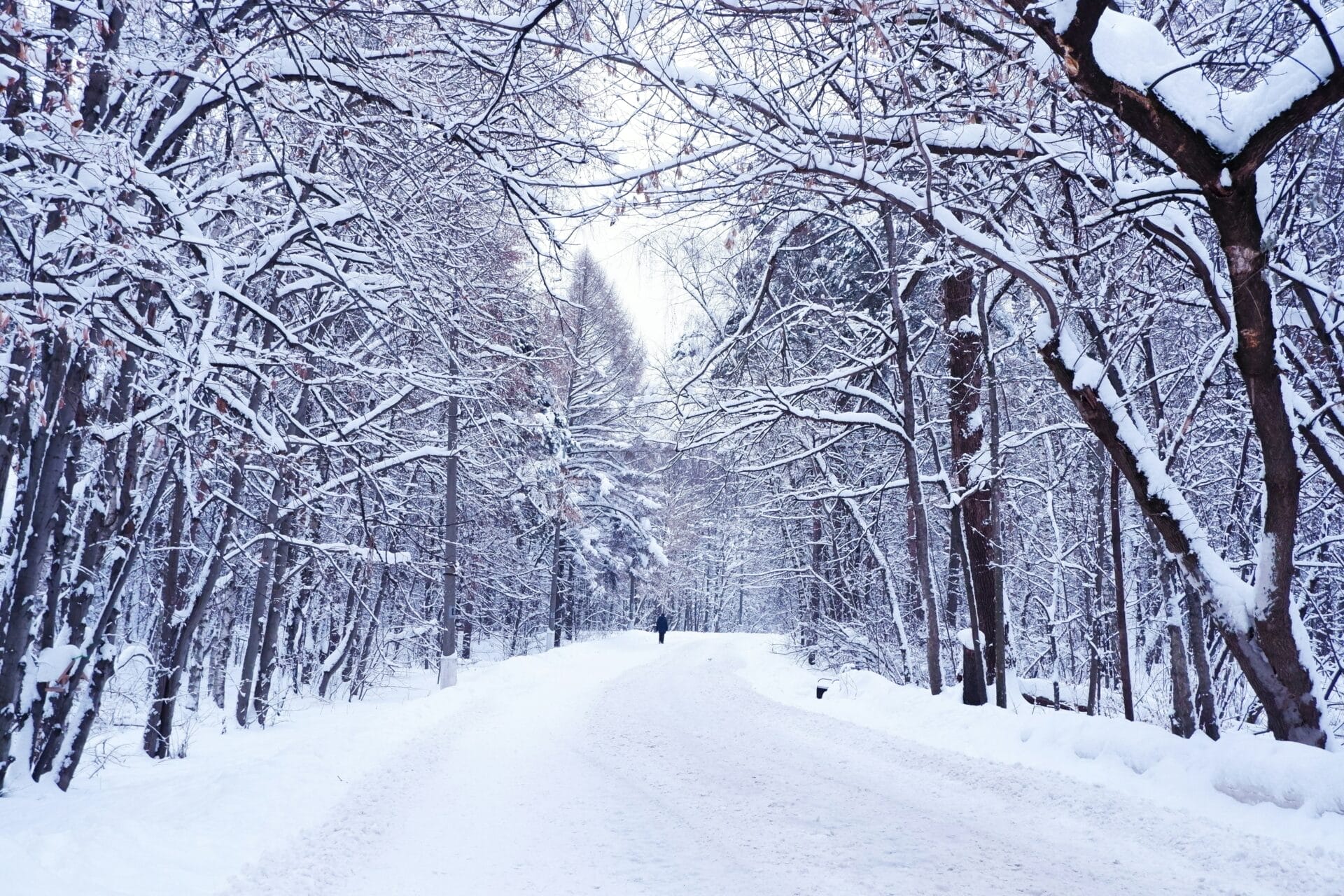 Walking through winter