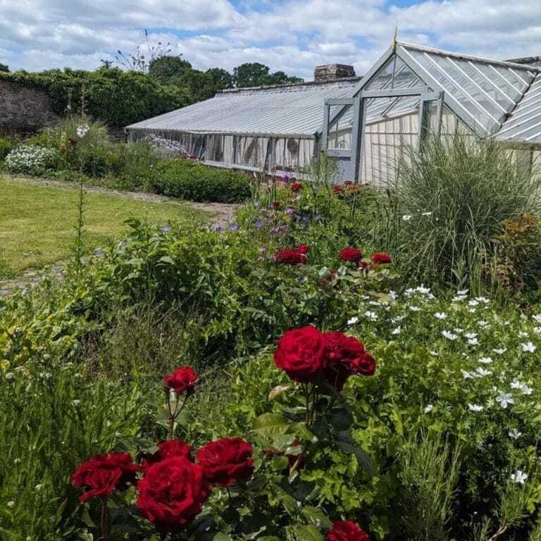 greenhouse gardens flowers